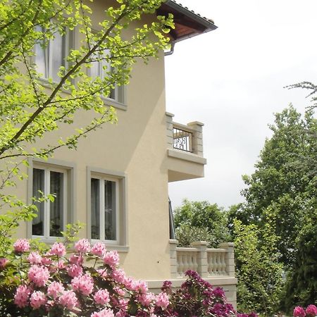 Ferienwohnung Dennstedt Wilkau-Hasslau Εξωτερικό φωτογραφία