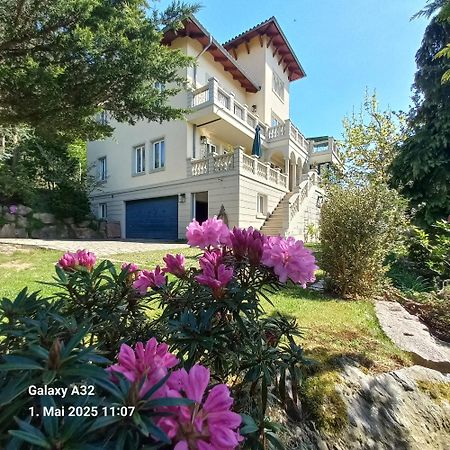 Ferienwohnung Dennstedt Wilkau-Hasslau Εξωτερικό φωτογραφία