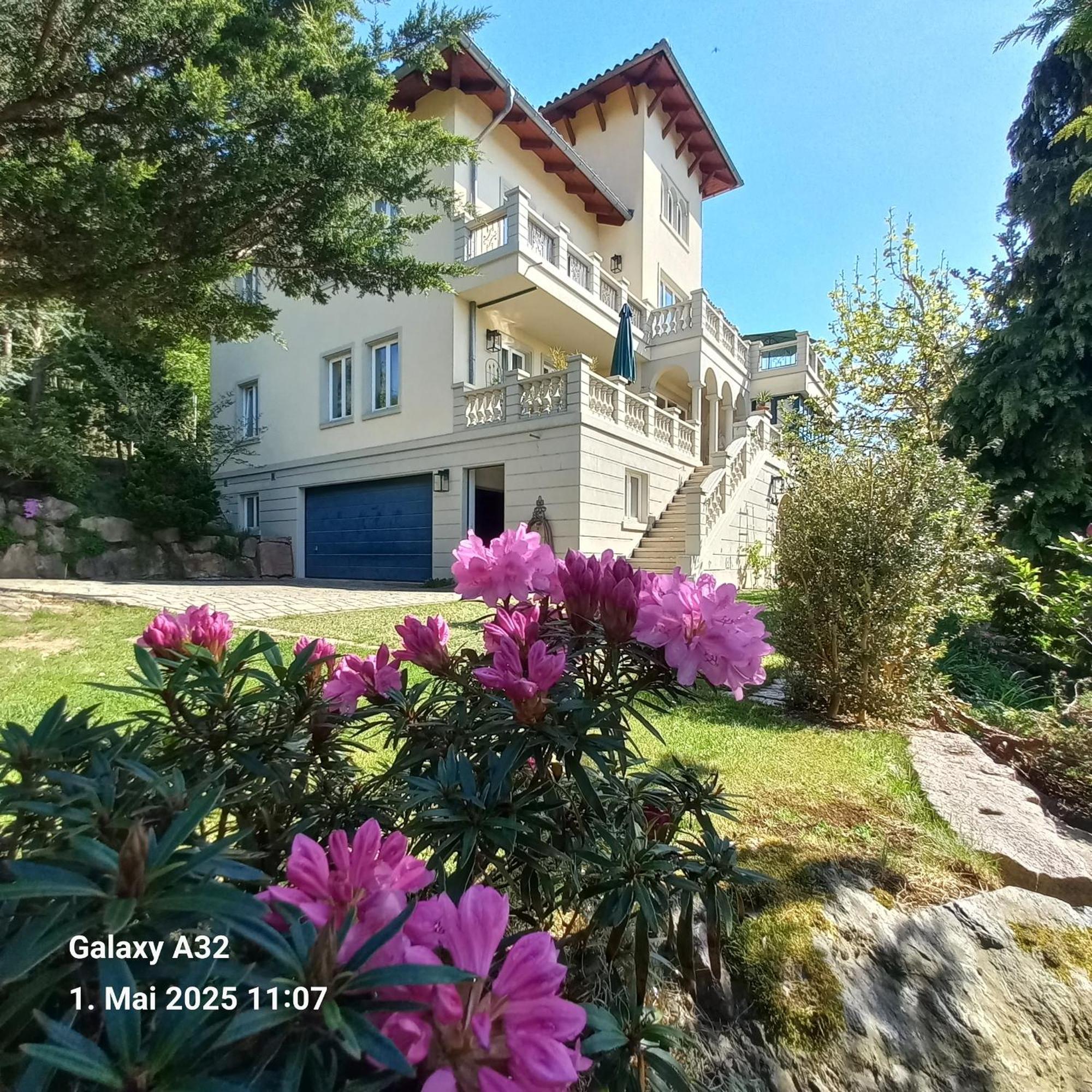 Ferienwohnung Dennstedt Wilkau-Hasslau Εξωτερικό φωτογραφία