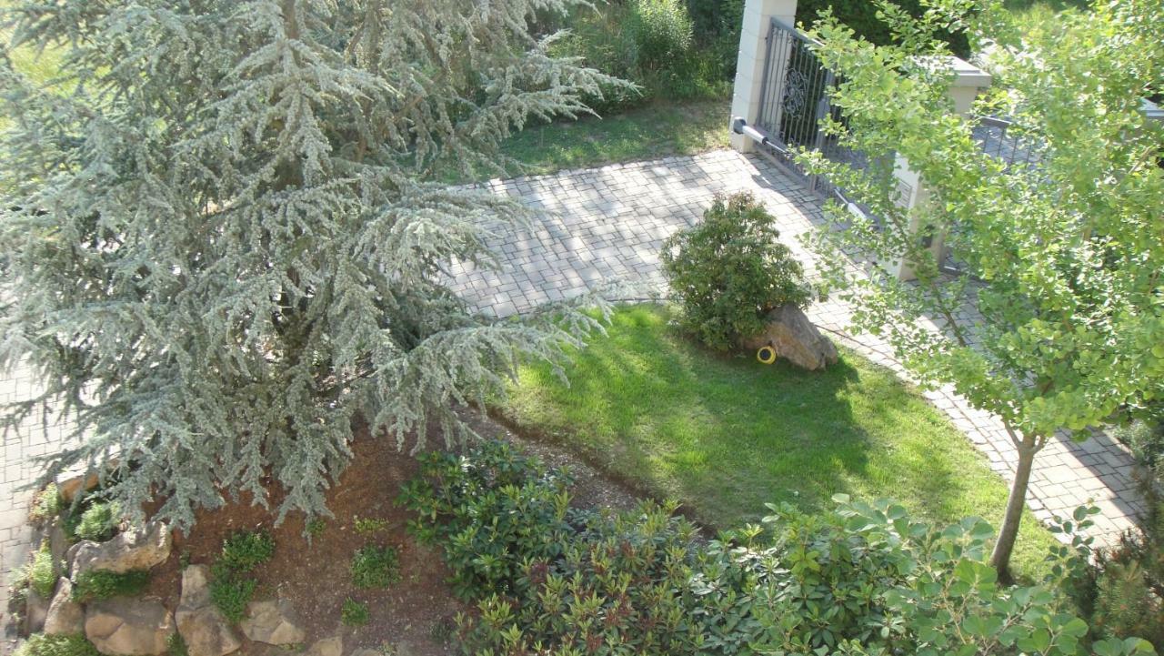 Ferienwohnung Dennstedt Wilkau-Hasslau Εξωτερικό φωτογραφία